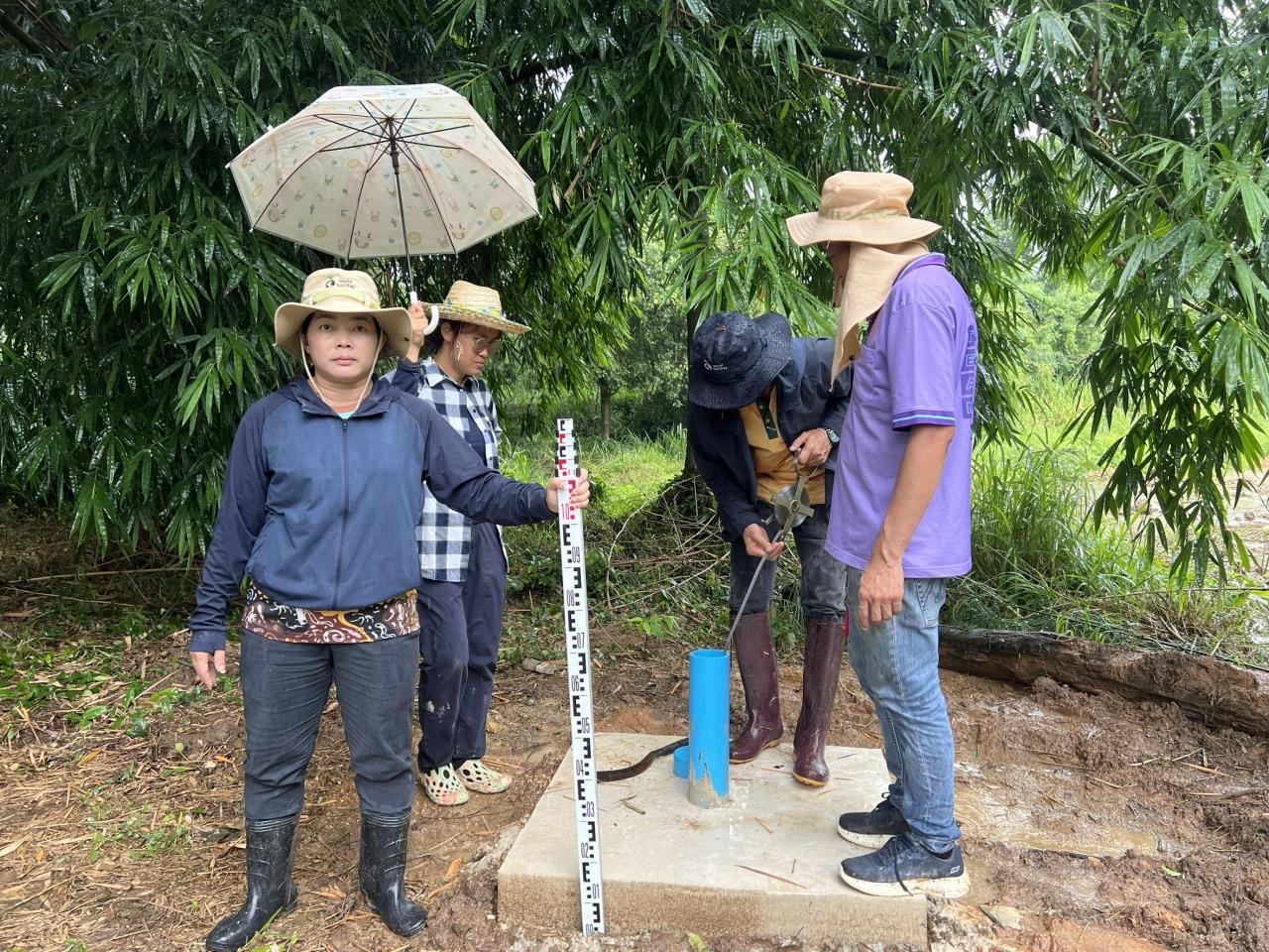 ภาพประกอบที่ 8