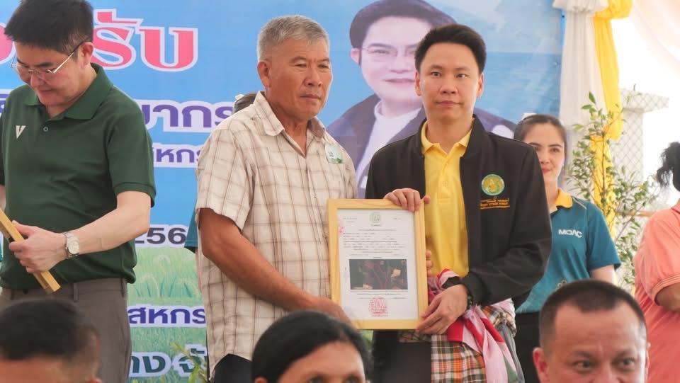 ภาพประกอบที่ 14