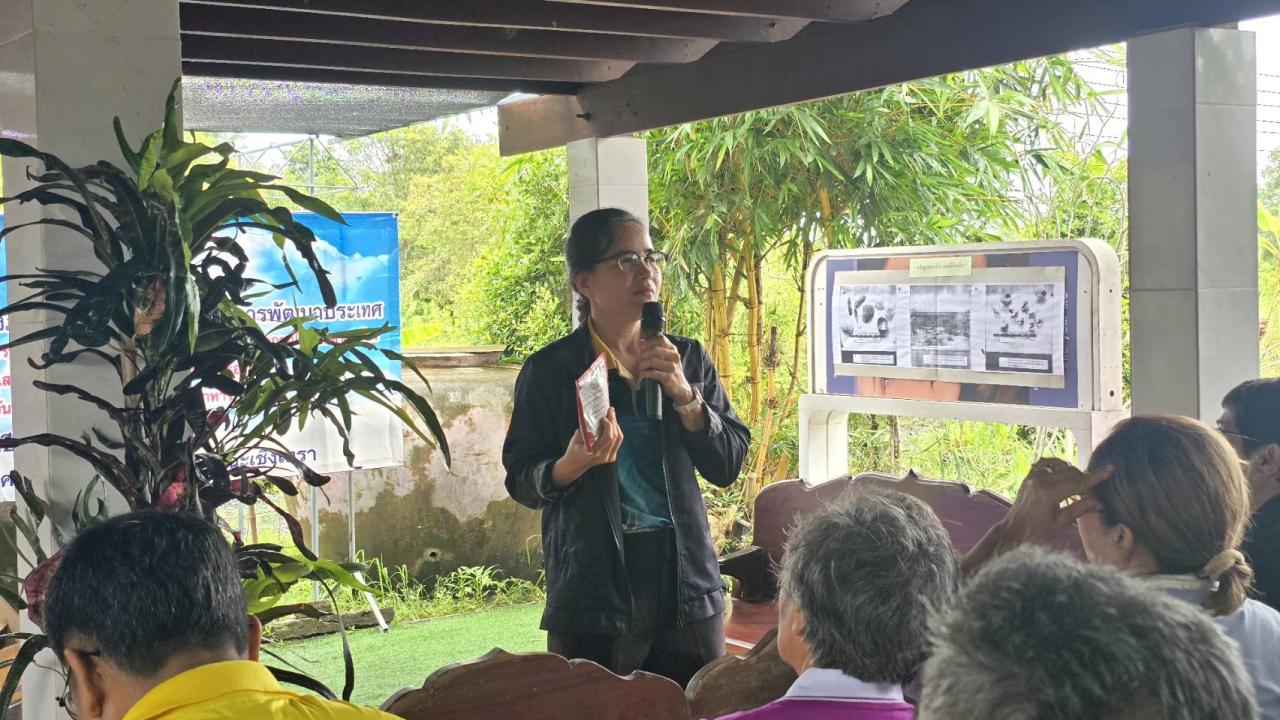 ภาพประกอบที่ 1