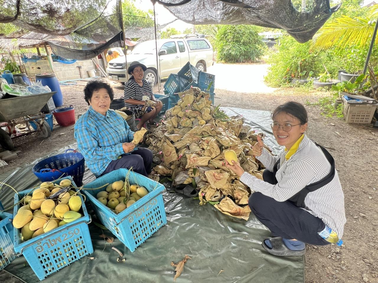 ภาพประกอบที่ 6