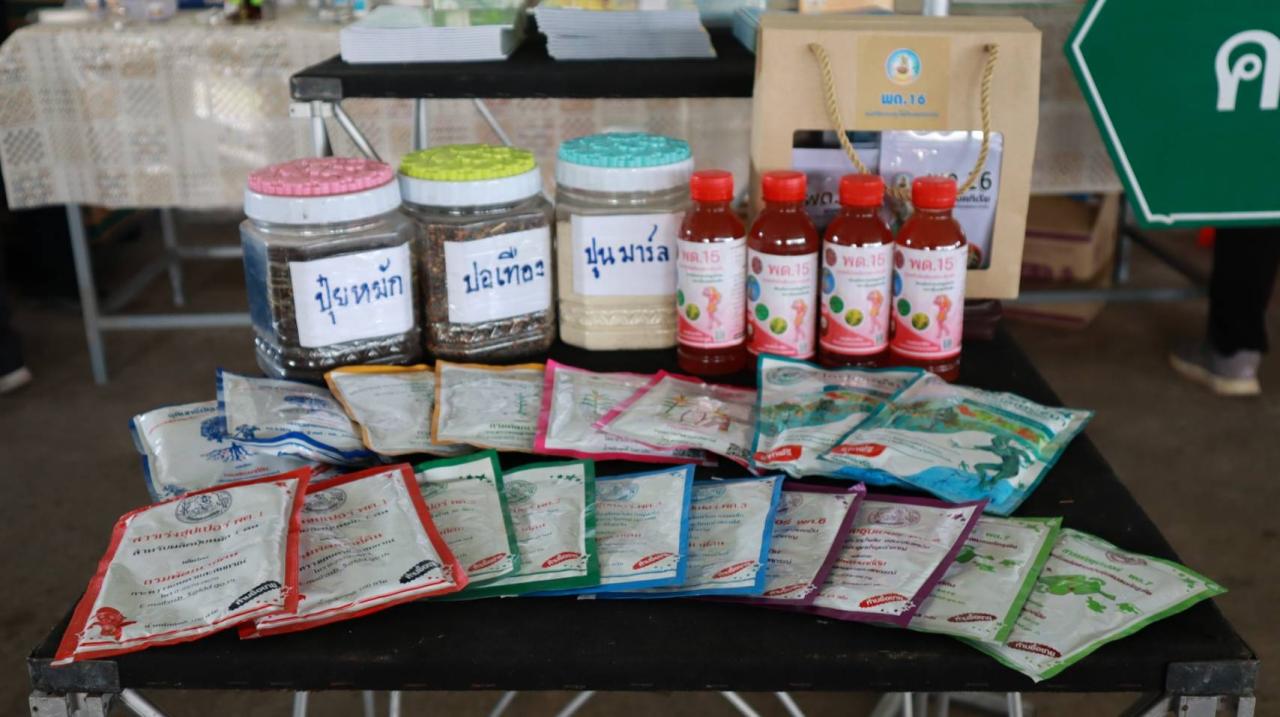 ภาพประกอบที่ 12