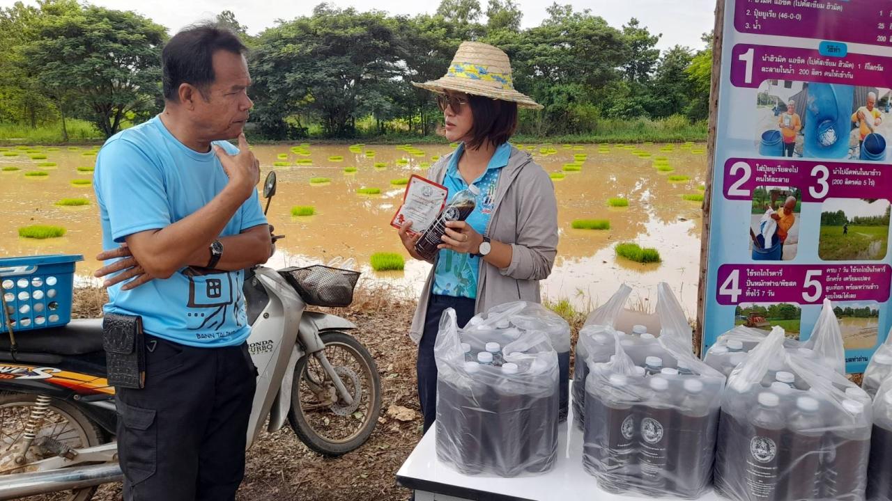 ภาพประกอบที่ 5