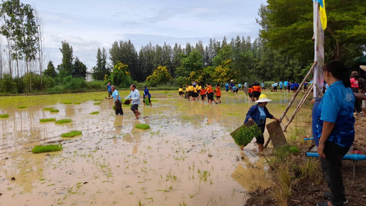 ภาพประกอบที่ 6