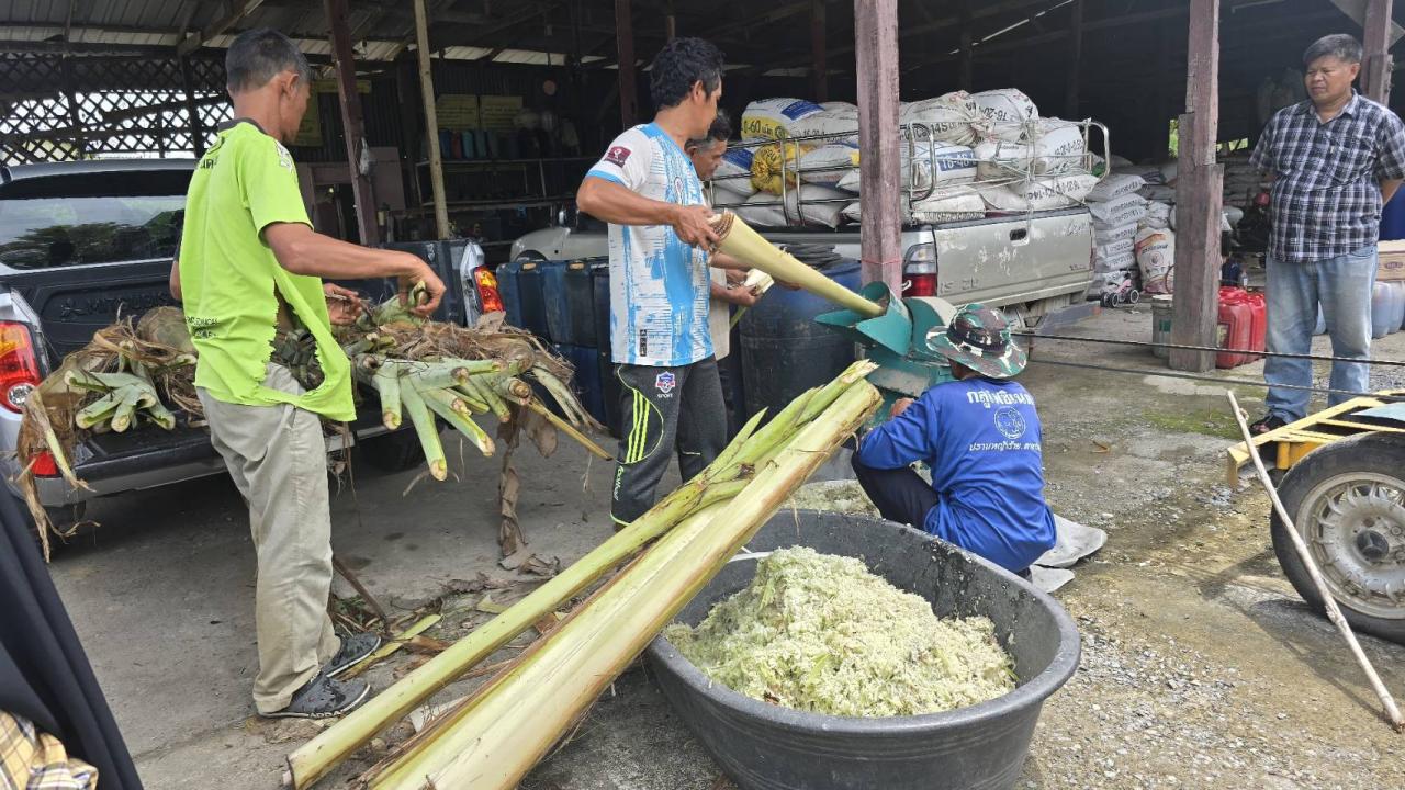 ภาพประกอบที่ 2