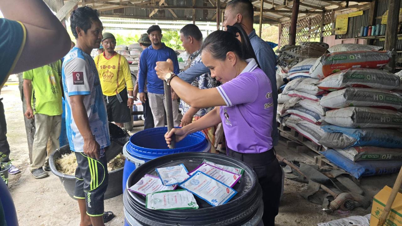 ภาพประกอบที่ 8