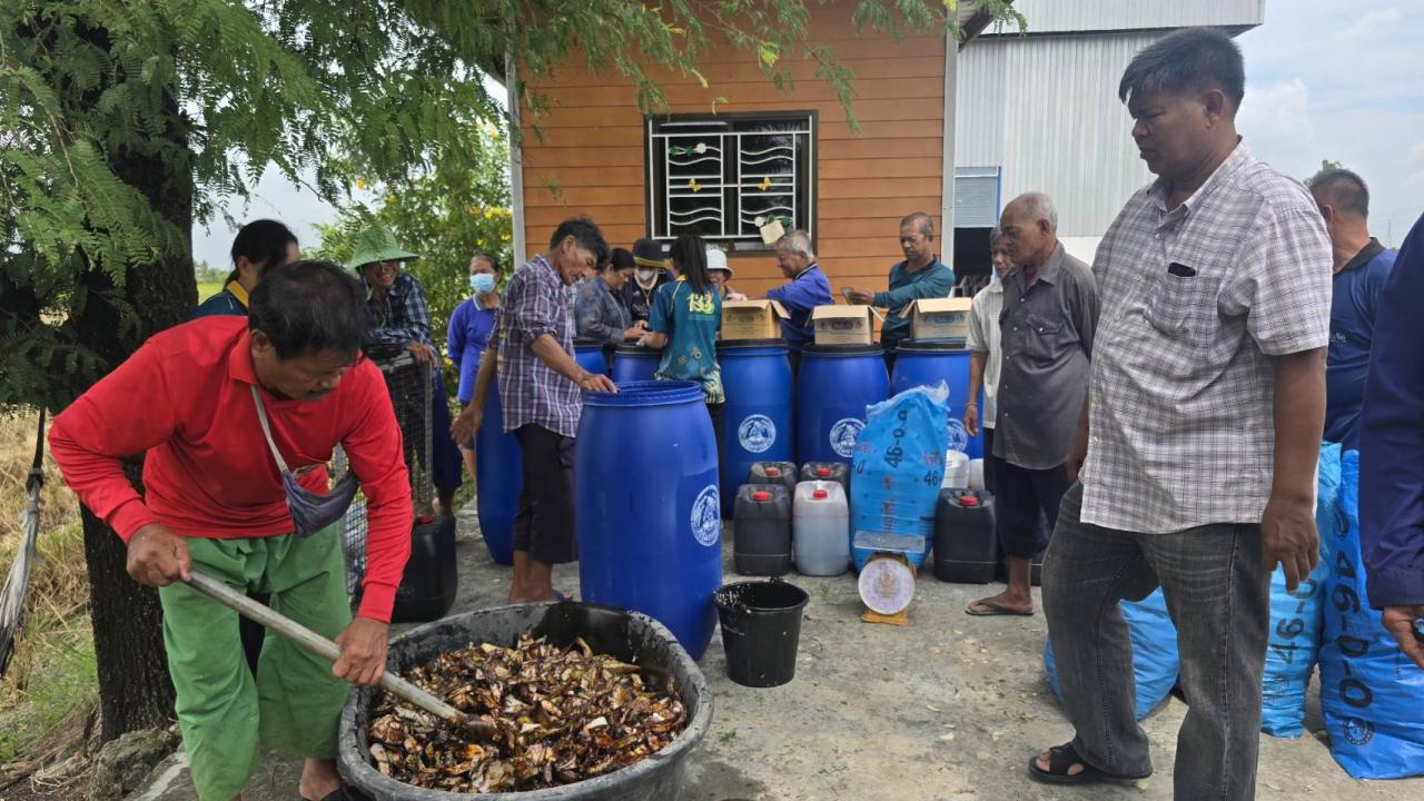 ภาพประกอบที่ 7