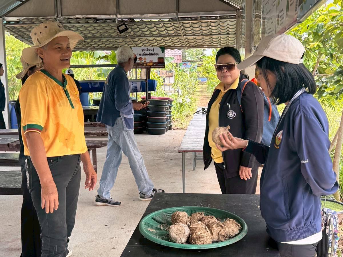 ภาพประกอบที่ 1
