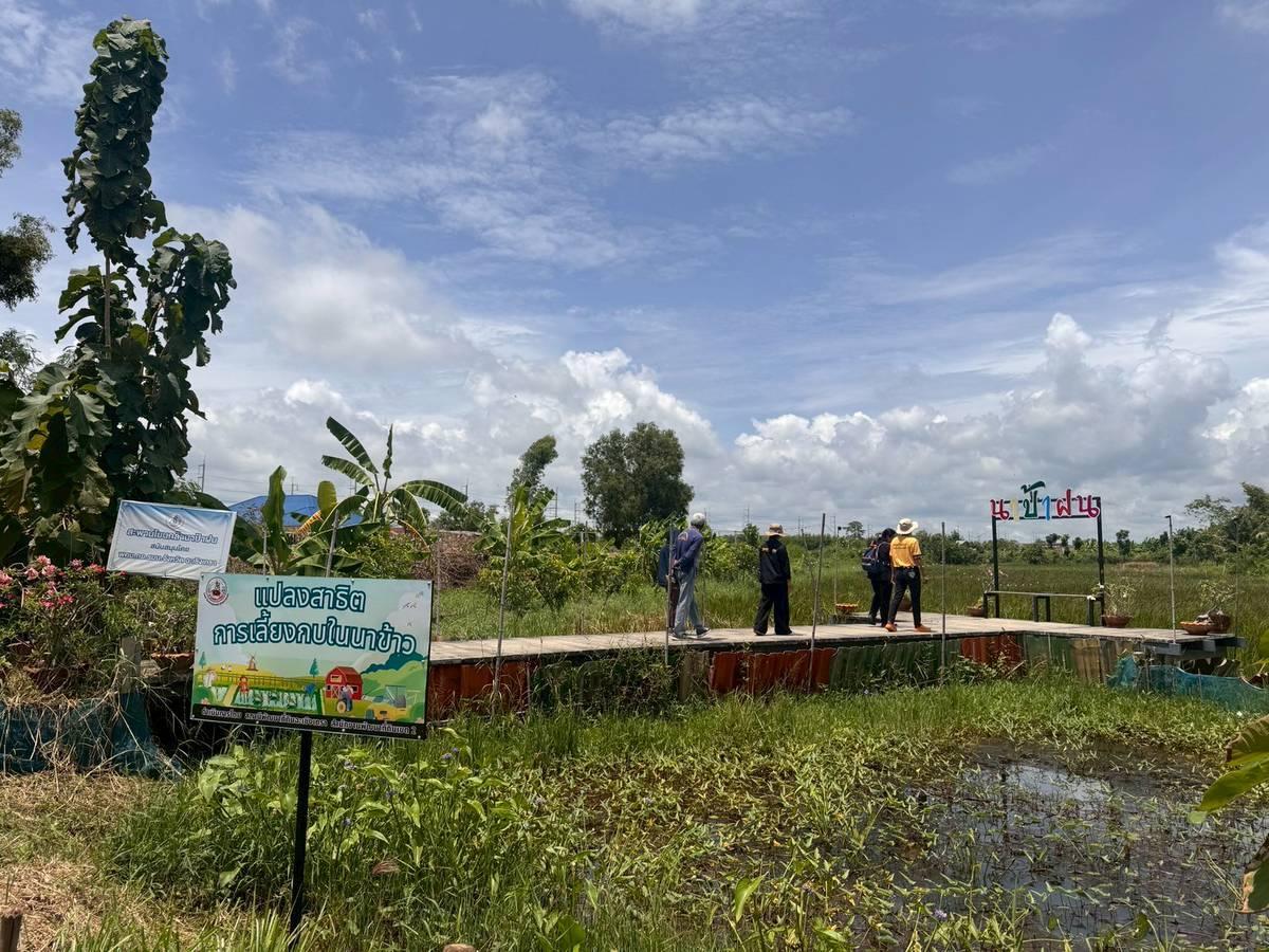 ภาพประกอบที่ 5