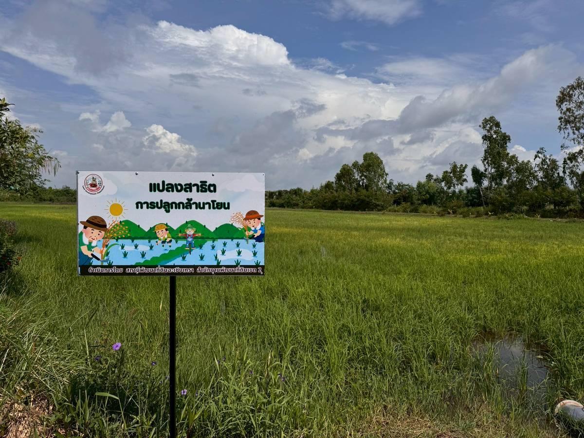 ภาพประกอบที่ 7