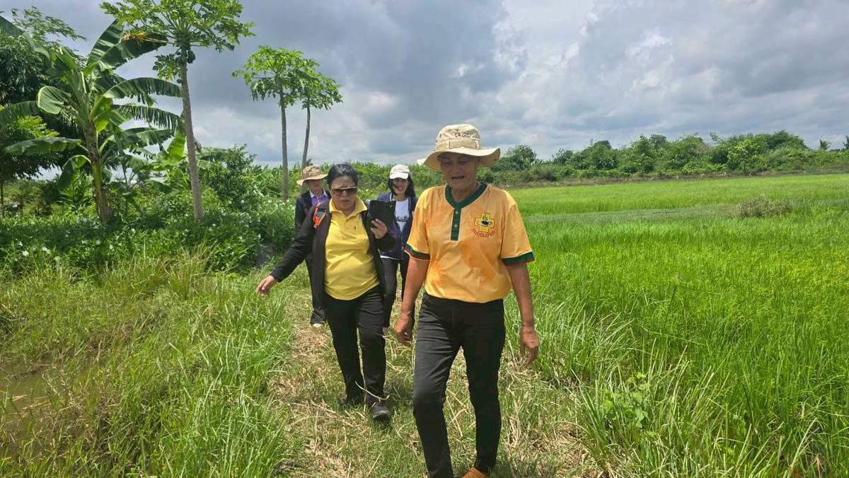 ภาพประกอบที่ 8