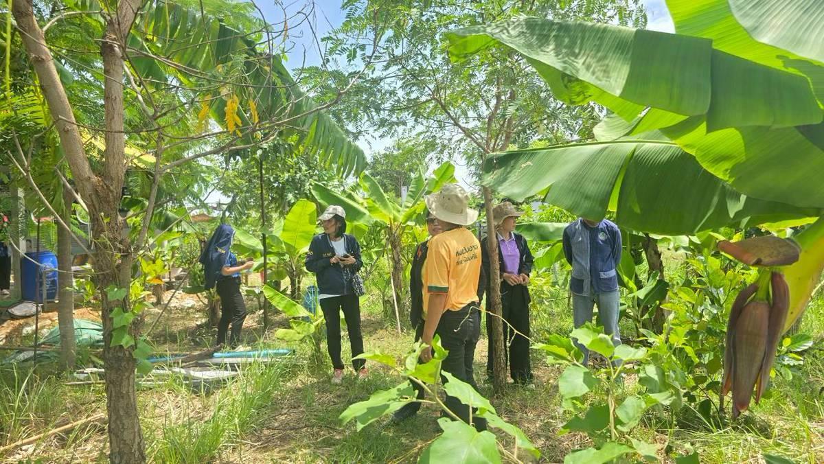 ภาพประกอบที่ 9