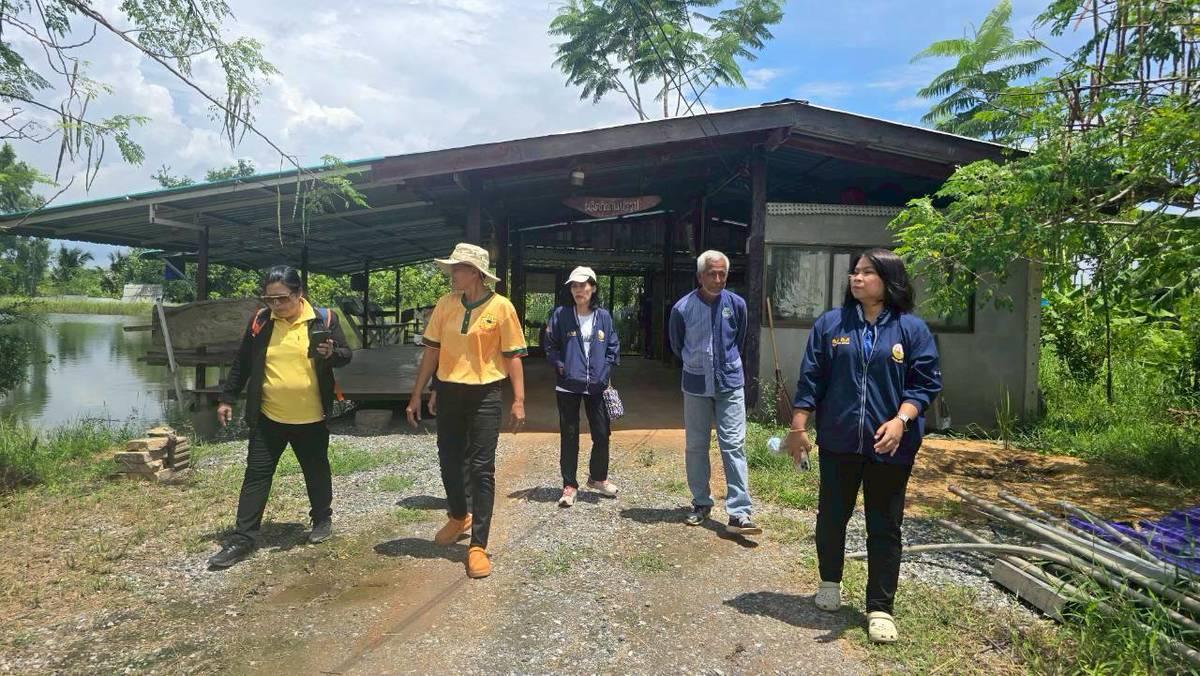 ภาพประกอบที่ 12