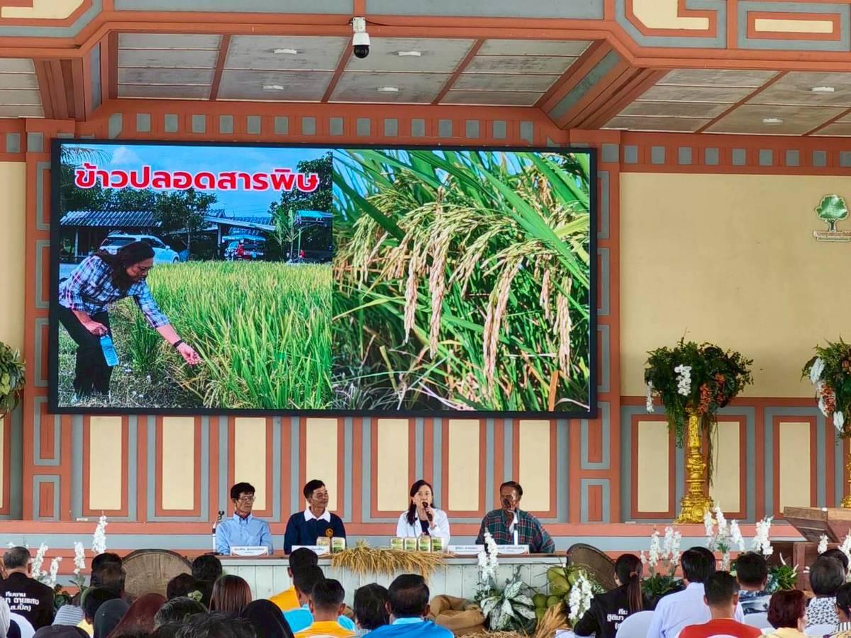 ภาพประกอบที่ 1