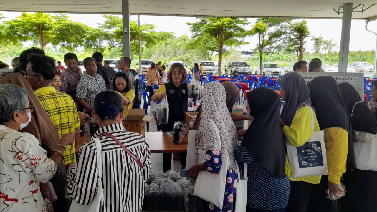 ภาพประกอบที่ 9