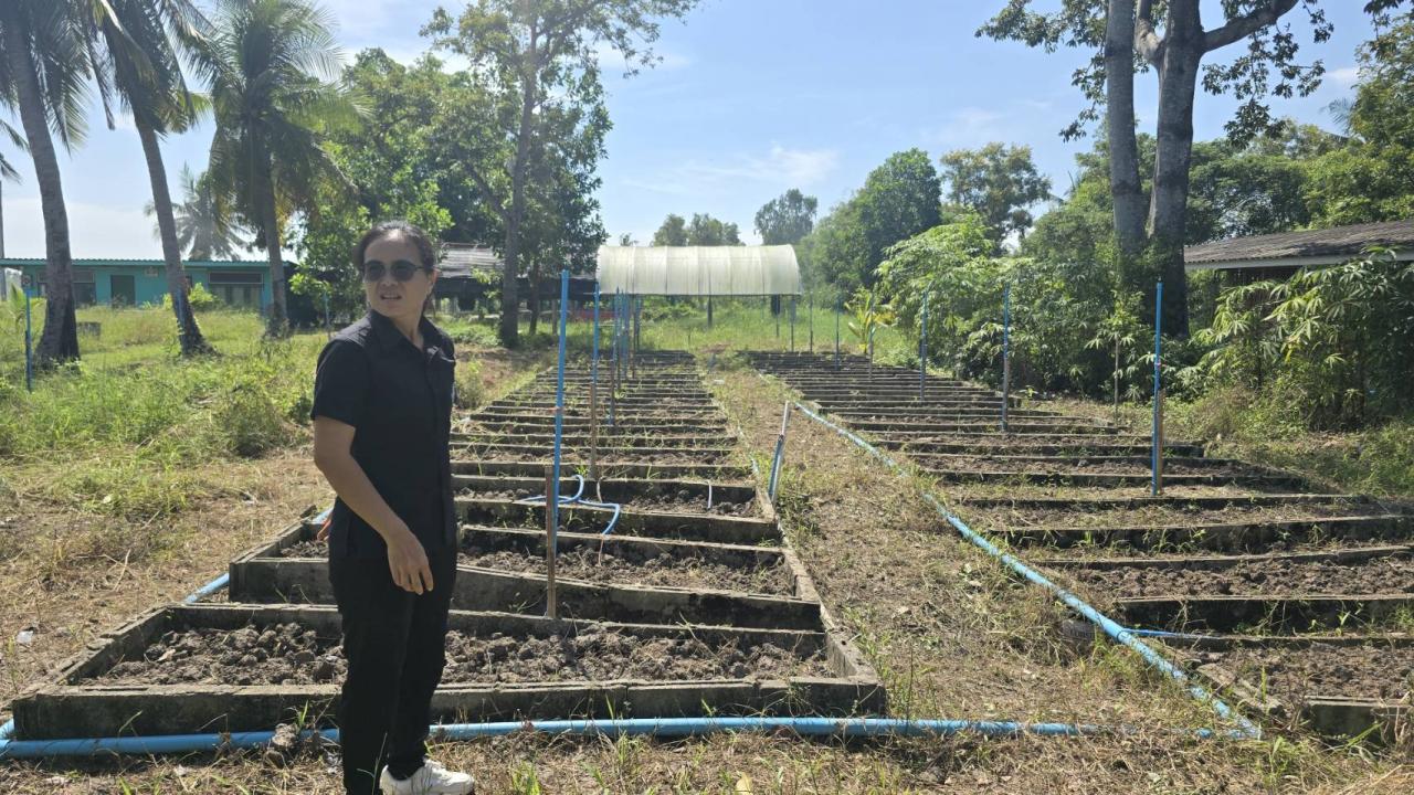 ภาพประกอบที่ 1