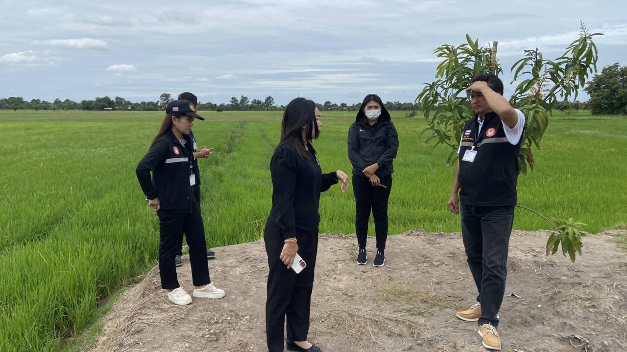 ภาพประกอบที่ 2