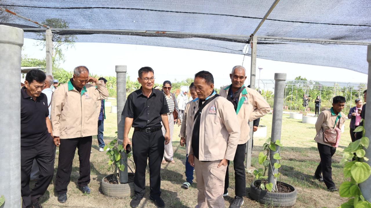 ภาพประกอบที่ 10