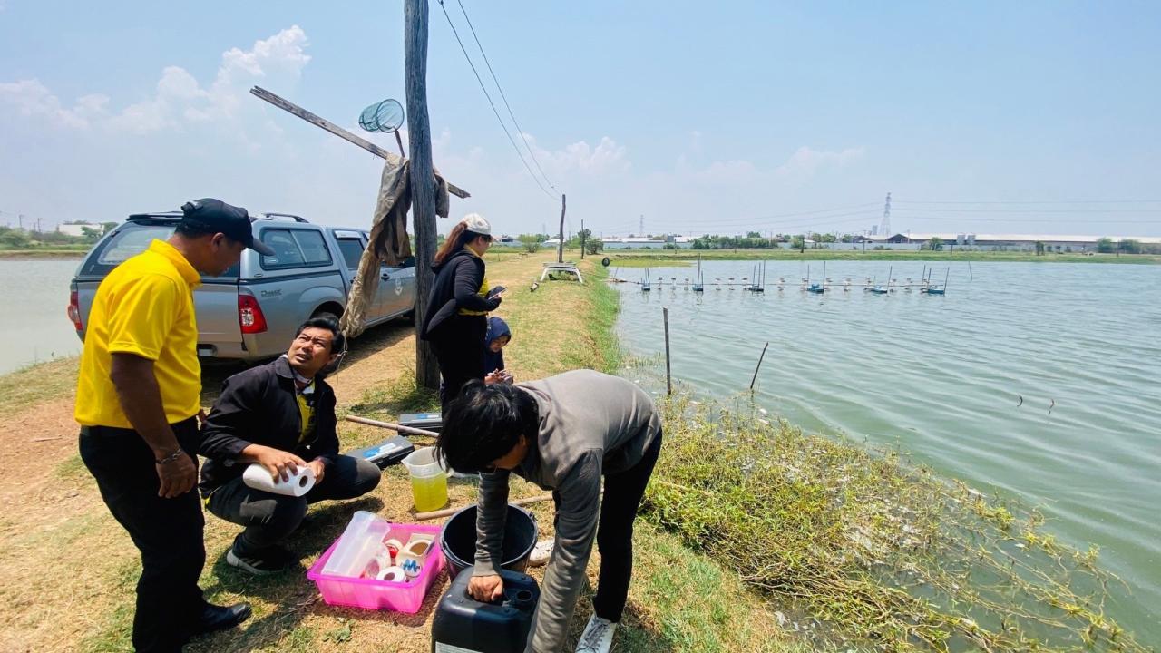 ภาพประกอบที่ 2