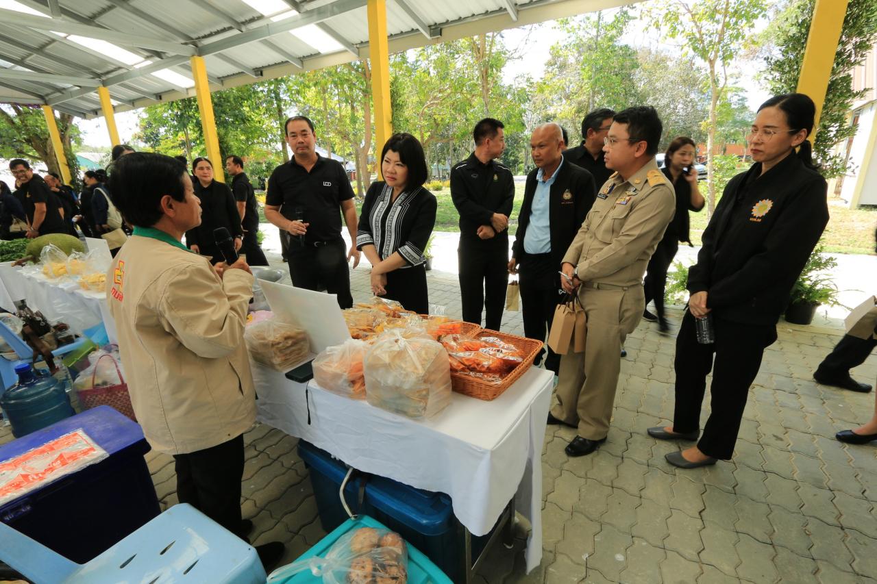 ภาพประกอบที่ 13