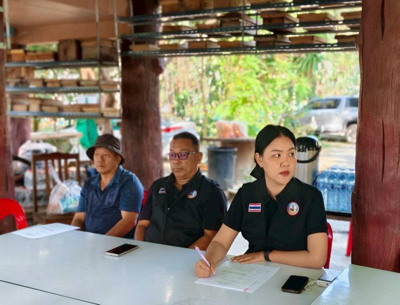 ภาพประกอบที่ 2