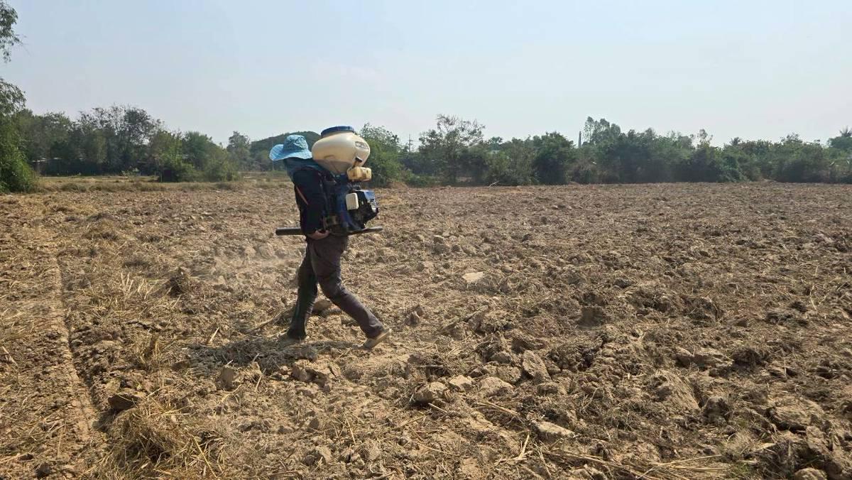 ภาพประกอบที่ 5