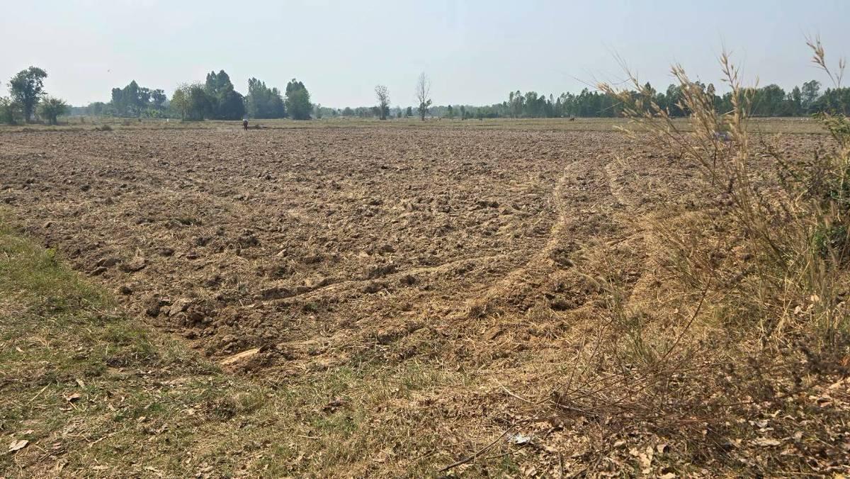 ภาพประกอบที่ 6