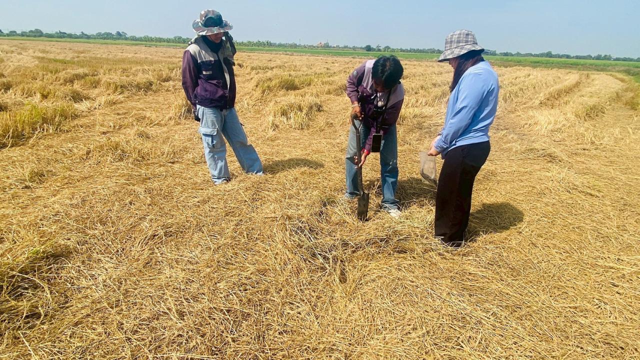 ภาพประกอบที่ 4