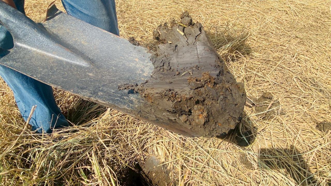 ภาพประกอบที่ 6