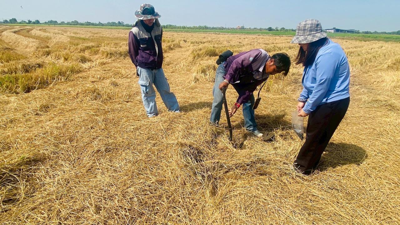 ภาพประกอบที่ 7