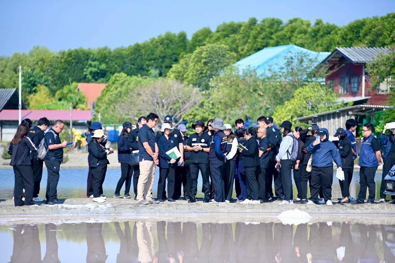 ภาพประกอบที่ 0