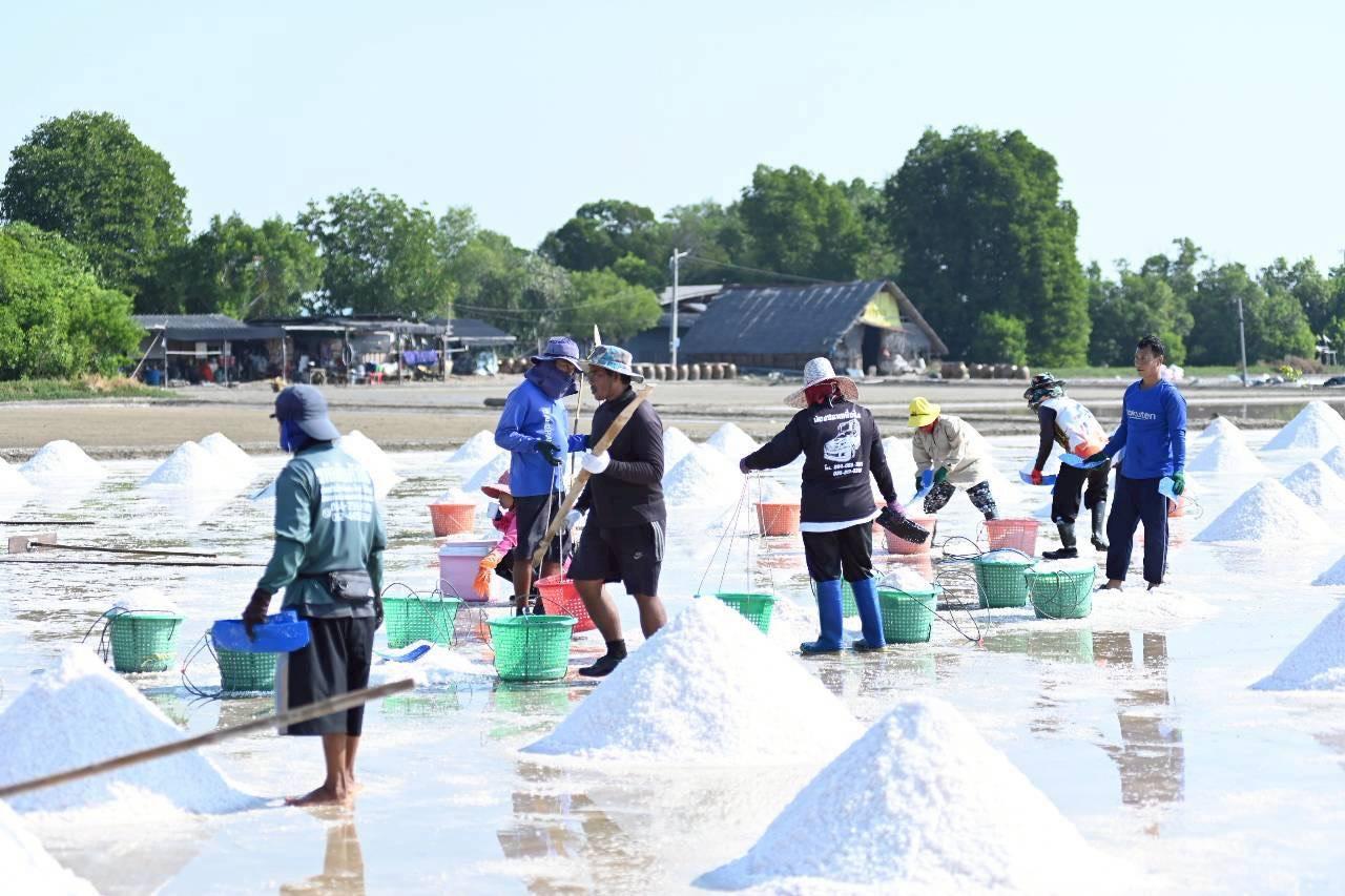 ภาพประกอบที่ 3