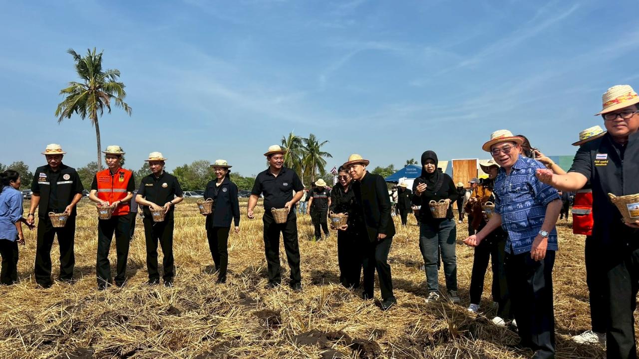 ภาพประกอบที่ 8