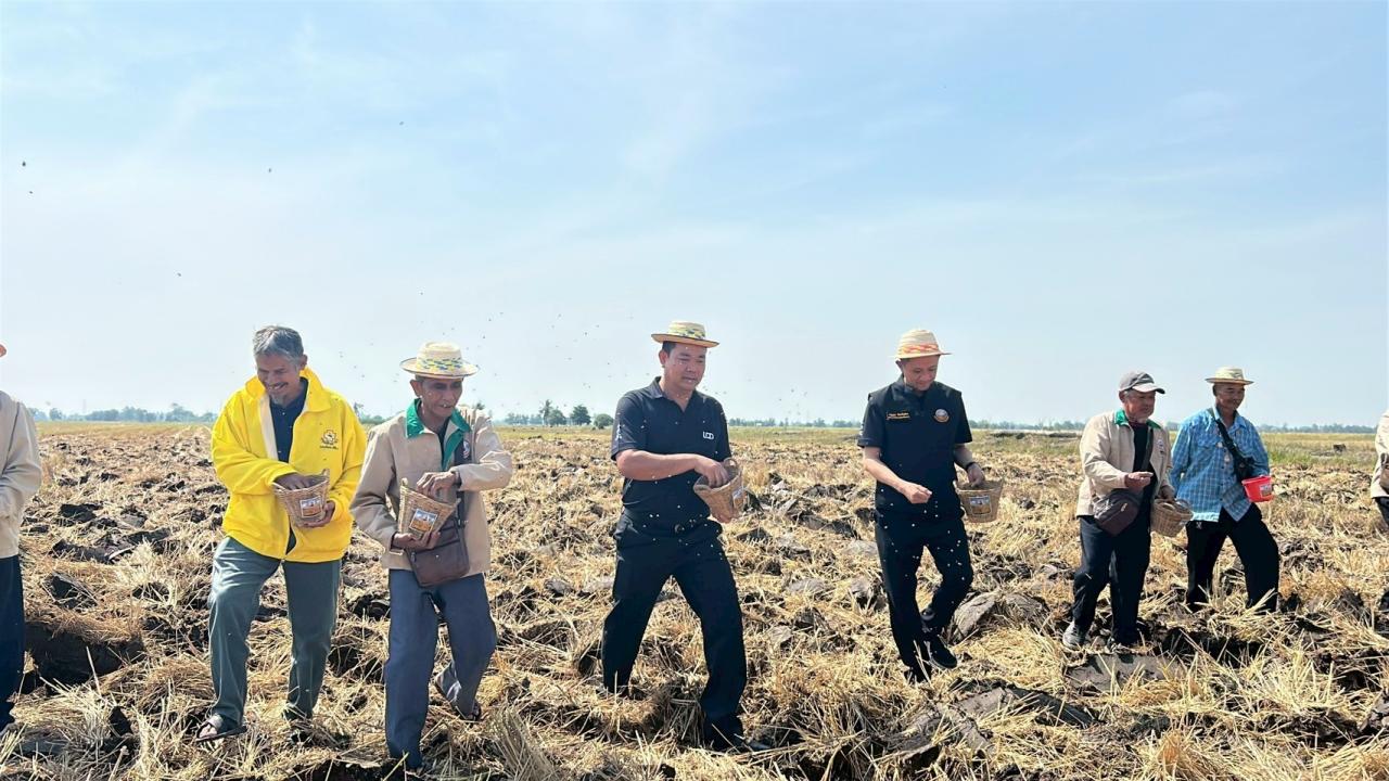 ภาพประกอบที่ 11