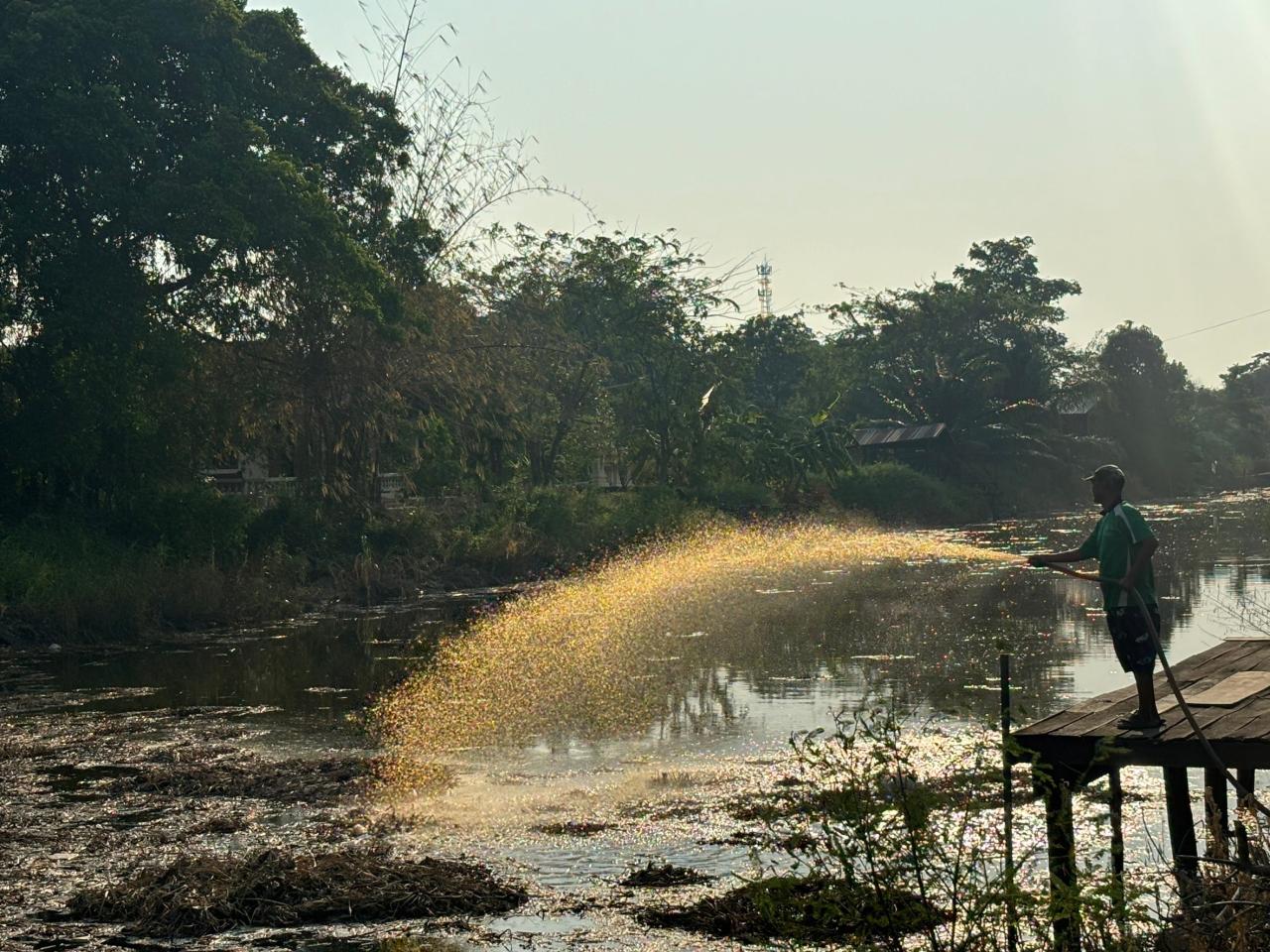 ภาพประกอบที่ 2