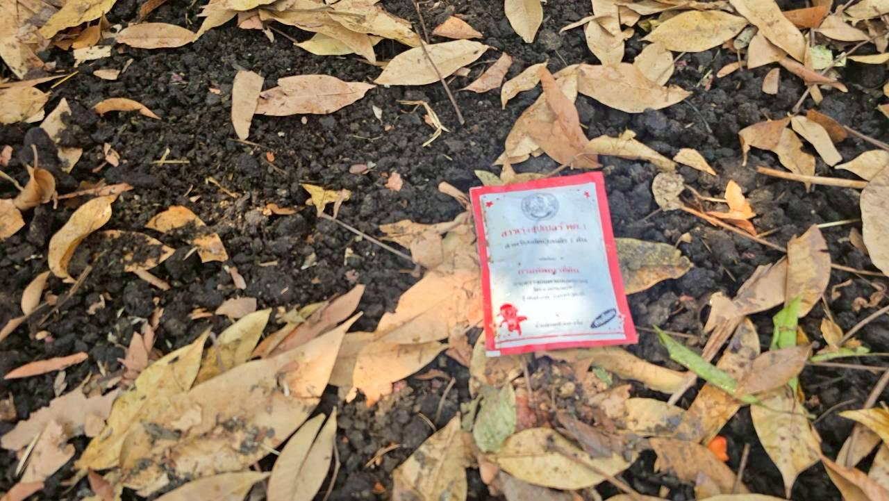 ภาพประกอบที่ 12