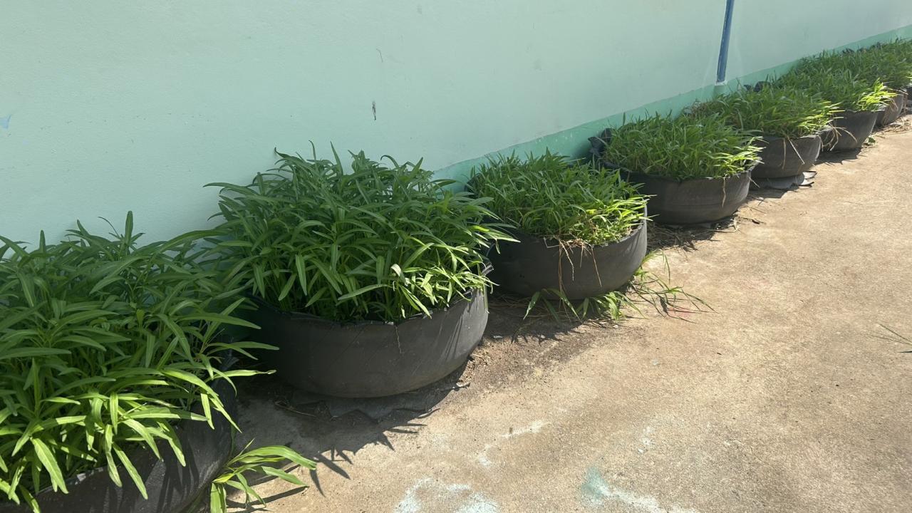 ภาพประกอบที่ 6