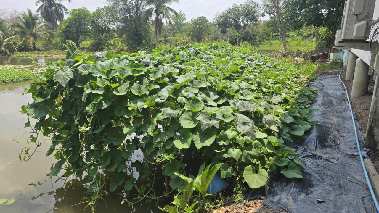 ภาพประกอบที่ 2