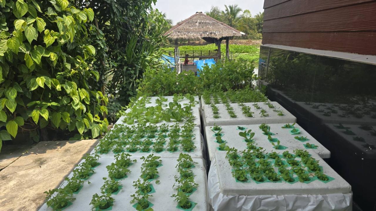 ภาพประกอบที่ 3