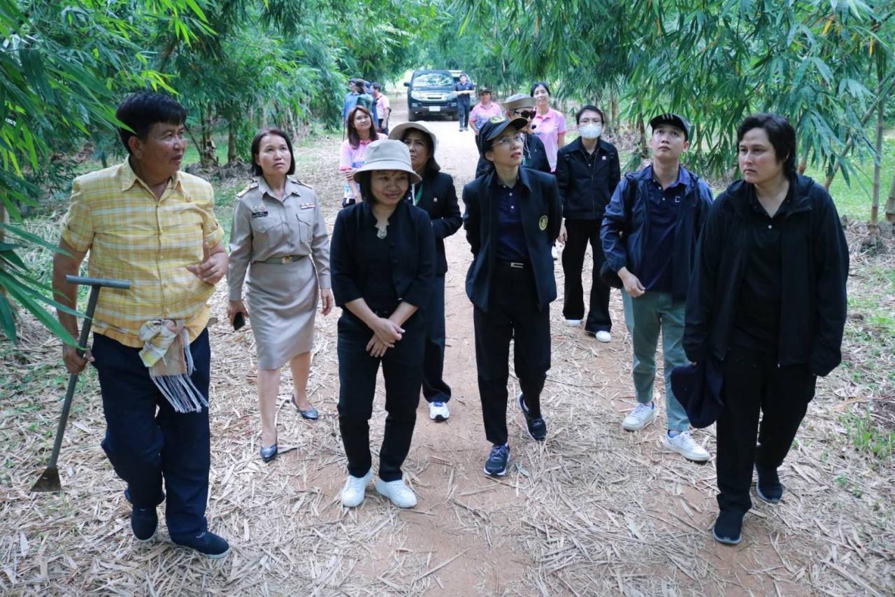 ภาพประกอบที่ 7