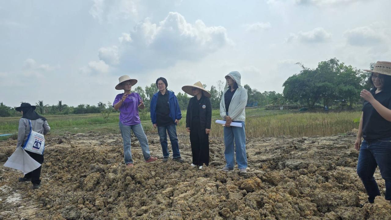 ภาพประกอบที่ 3