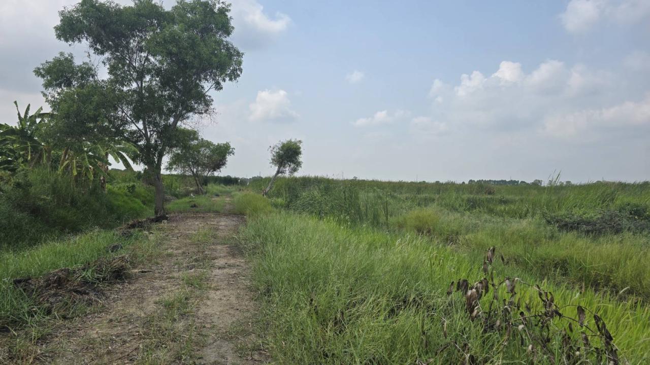 ภาพประกอบที่ 5