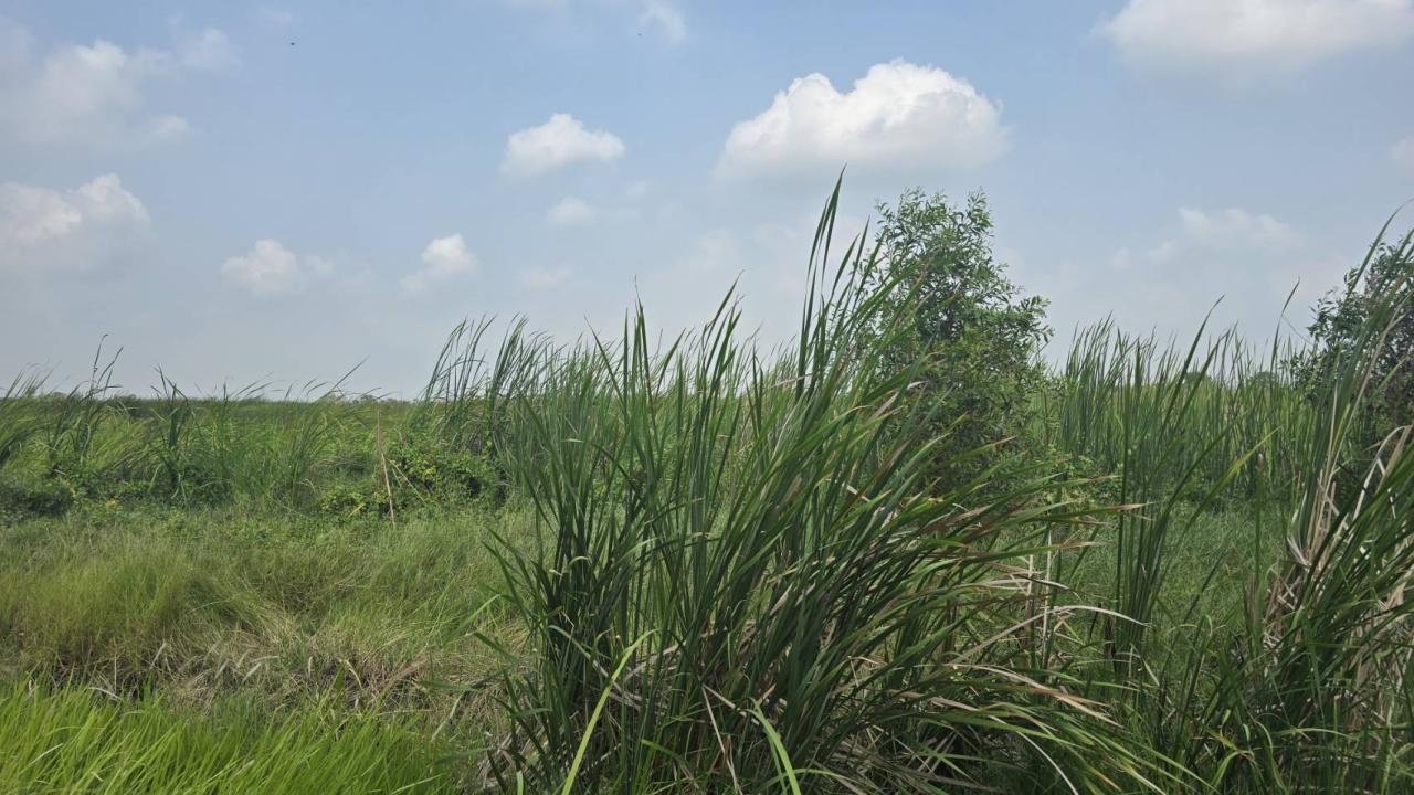 ภาพประกอบที่ 6