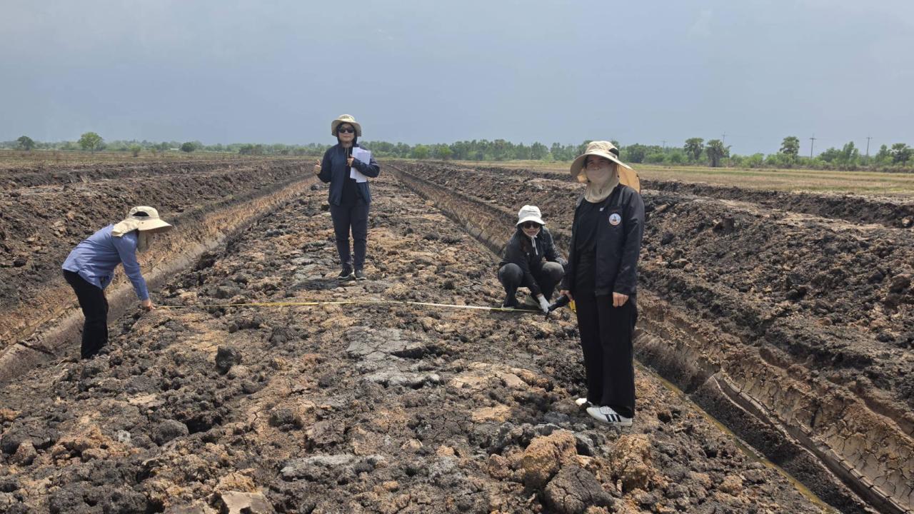 ภาพประกอบที่ 5