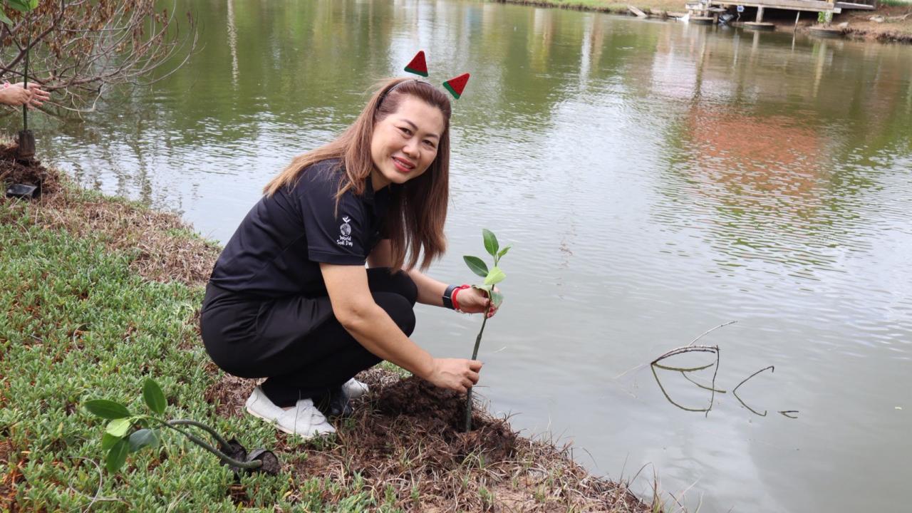 ภาพประกอบที่ 2