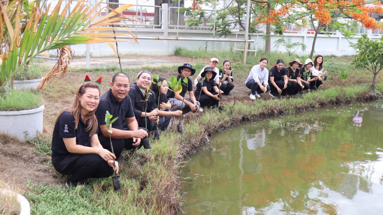 ภาพประกอบที่ 5