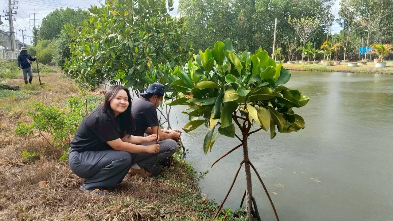 ภาพประกอบที่ 6