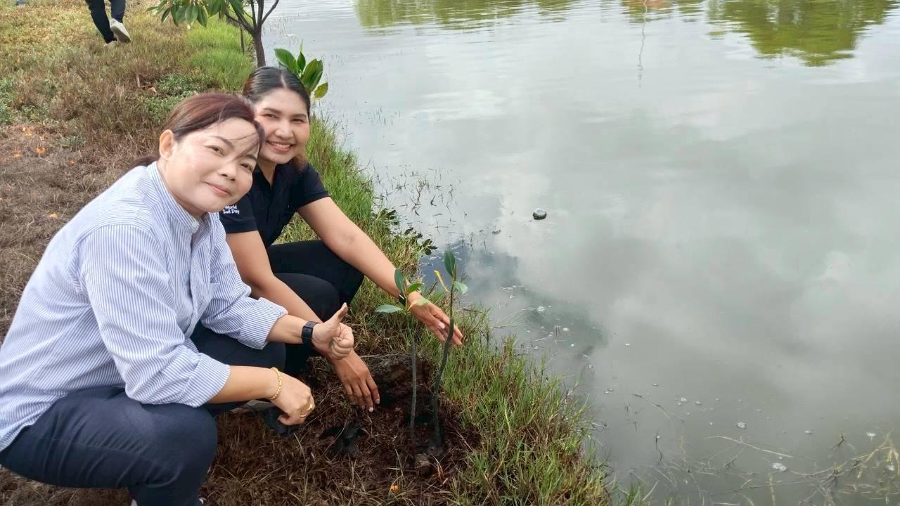 ภาพประกอบที่ 8