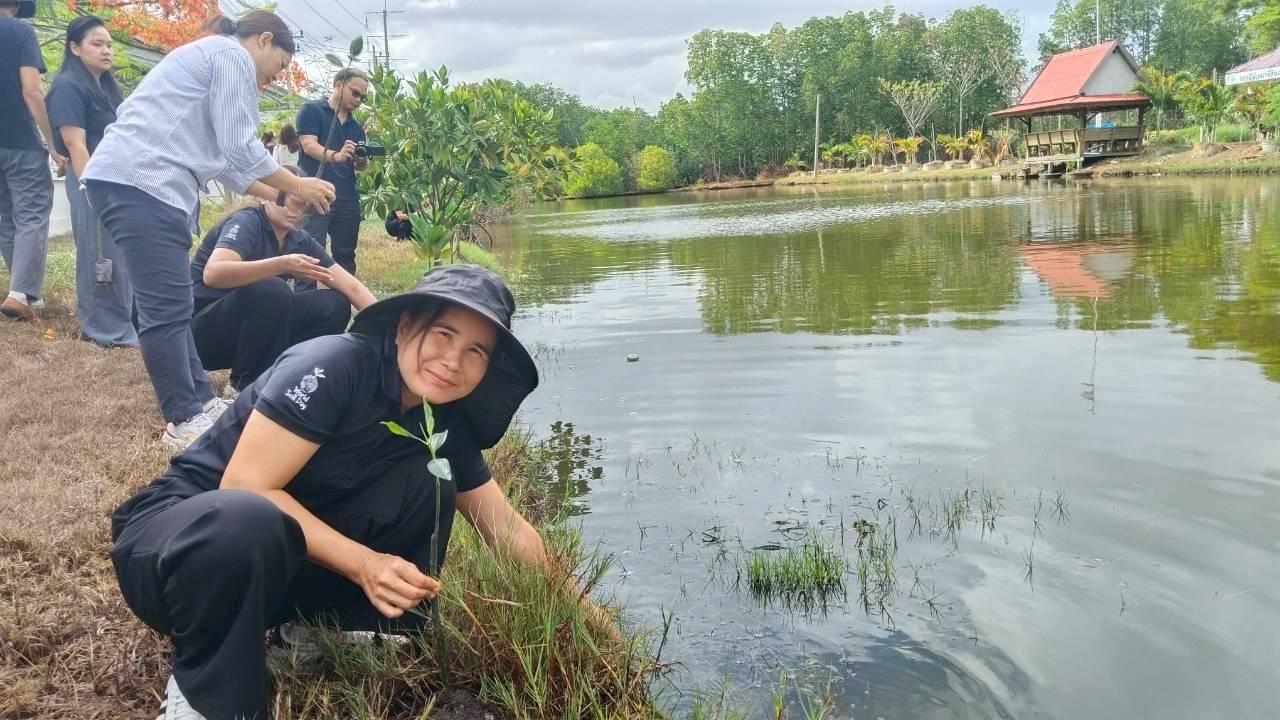 ภาพประกอบที่ 9