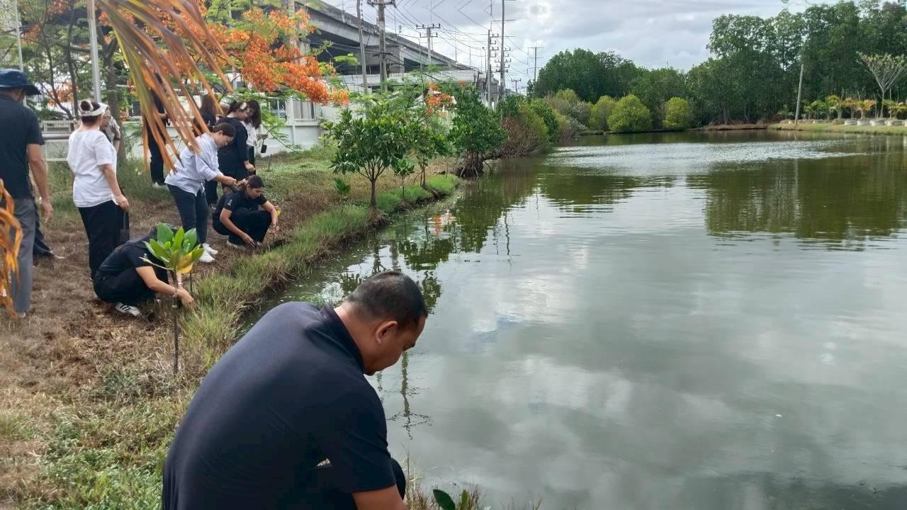 ภาพประกอบที่ 11