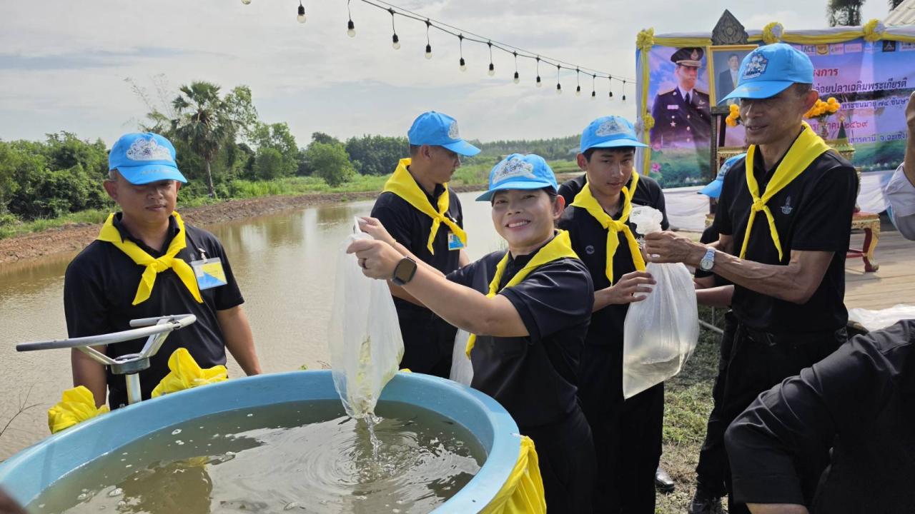 ภาพประกอบที่ 17